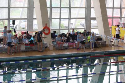 Fotoalbum Schwimmen: LM Schwimmen 2014