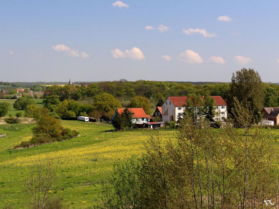 Bild: Foto: Frank Weigt