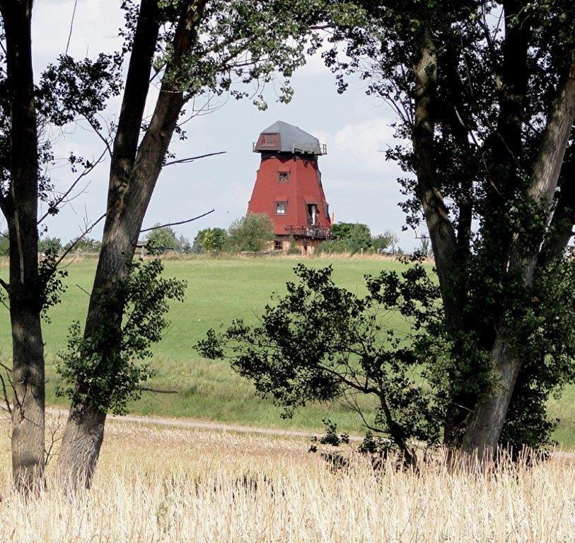 Bild: Foto: Andreas Ulbricht