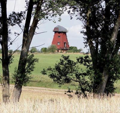 Vorschaubild: Foto: Andreas Ulbricht