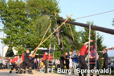 Foto des Albums: Maibaum aufgestellt