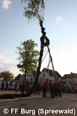 Foto des Albums: Maibaum aufgestellt