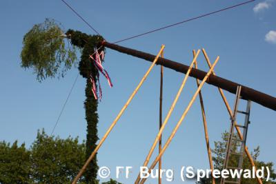Foto des Albums: Maibaum aufgestellt