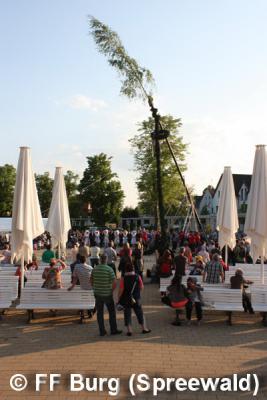 Foto des Albums: Maibaum aufgestellt
