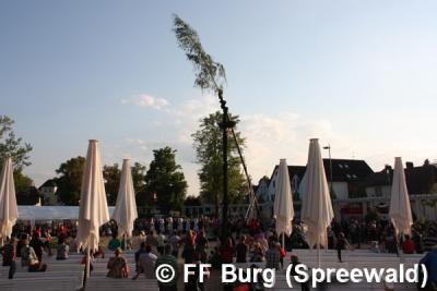 Foto des Albums: Maibaum aufgestellt