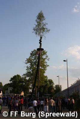 Foto des Albums: Maibaum aufgestellt