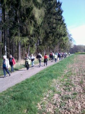 Wandergruppen nutzen das Wegenetz des 3 Kastelle Rundweges zu einer Tour durch die Region  (Bild vergr&ouml;&szlig;ern)