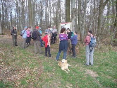 Vom Kastell Pfarrhofen reicht der Blick &uuml;ber Holzhausen bis zum Kastellstandort am Grauen Kopf  (Bild vergr&ouml;&szlig;ern)