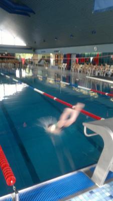 Foto des Albums: Schwimmturnier