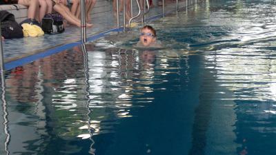 Foto des Albums: Schwimmturnier