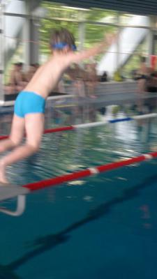Foto des Albums: Schwimmturnier