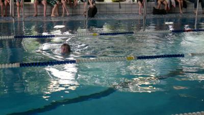 Foto des Albums: Schwimmturnier