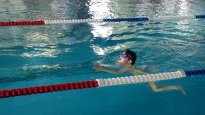 Foto des Albums: Schwimmturnier