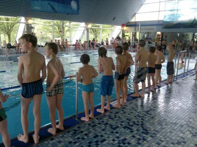 Foto des Albums: Schwimmturnier