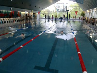 Foto des Albums: Schwimmturnier