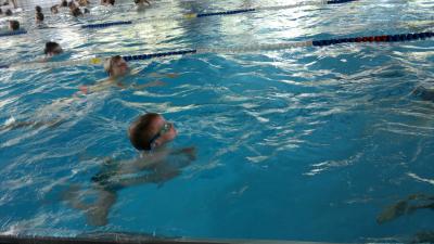 Foto des Albums: Schwimmturnier