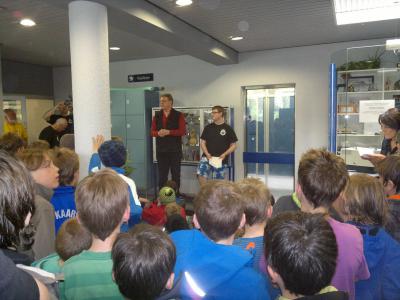 Foto des Albums: Schwimmturnier