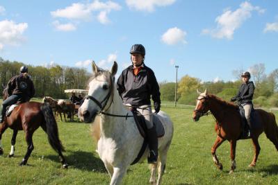Anja Schr&ouml;der auf Fugado   (Bild vergr&ouml;&szlig;ern)