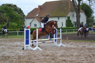 Foto des Albums: Kreis-, Kinder- und Jugendsportspiele   Kreismeisterschaften Reiten & Pony 2014