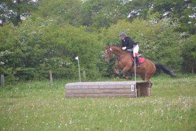 Foto des Albums: Kreis-, Kinder- und Jugendsportspiele   Kreismeisterschaften Reiten & Pony 2014