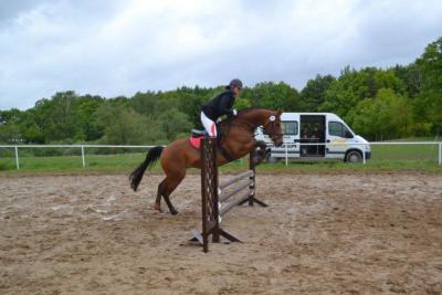Foto des Albums: Kreis-, Kinder- und Jugendsportspiele   Kreismeisterschaften Reiten & Pony 2014