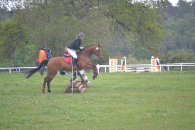 Foto des Albums: Kreis-, Kinder- und Jugendsportspiele   Kreismeisterschaften Reiten & Pony 2014