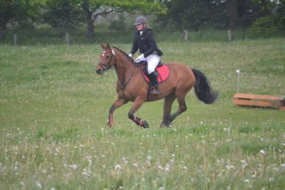 Foto des Albums: Kreis-, Kinder- und Jugendsportspiele   Kreismeisterschaften Reiten & Pony 2014