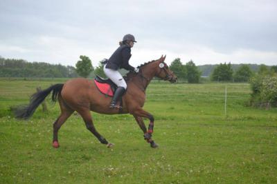 Foto des Albums: Kreis-, Kinder- und Jugendsportspiele   Kreismeisterschaften Reiten & Pony 2014