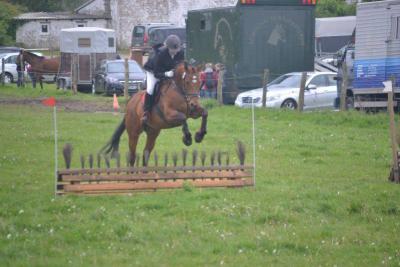 Foto des Albums: Kreis-, Kinder- und Jugendsportspiele   Kreismeisterschaften Reiten & Pony 2014