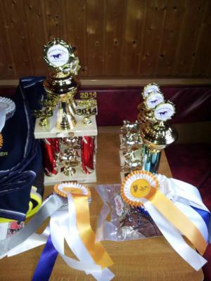 Foto des Albums: Kreis-, Kinder- und Jugendsportspiele   Kreismeisterschaften Reiten & Pony 2014