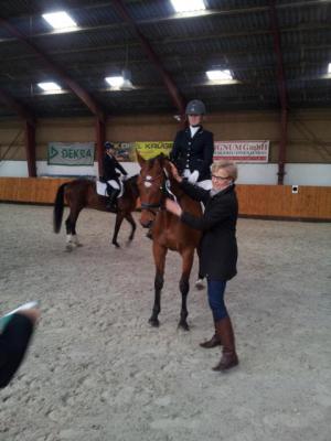 Foto des Albums: Kreis-, Kinder- und Jugendsportspiele   Kreismeisterschaften Reiten & Pony 2014
