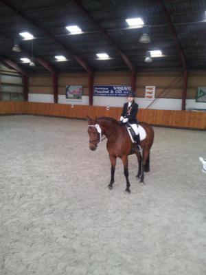 Foto des Albums: Kreis-, Kinder- und Jugendsportspiele   Kreismeisterschaften Reiten & Pony 2014
