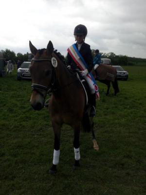 Foto des Albums: Kreis-, Kinder- und Jugendsportspiele   Kreismeisterschaften Reiten & Pony 2014