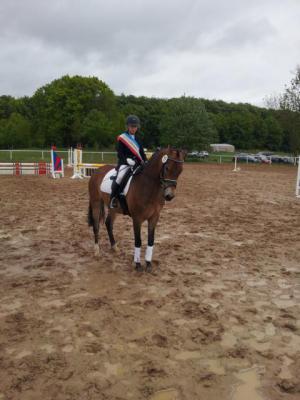 Foto des Albums: Kreis-, Kinder- und Jugendsportspiele   Kreismeisterschaften Reiten & Pony 2014