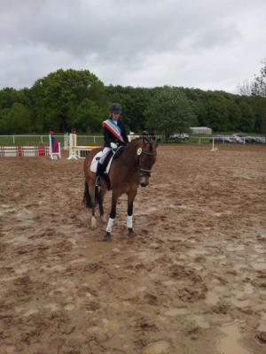 Foto des Albums: Kreis-, Kinder- und Jugendsportspiele   Kreismeisterschaften Reiten & Pony 2014