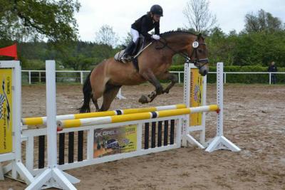 Foto des Albums: Kreis-, Kinder- und Jugendsportspiele   Kreismeisterschaften Reiten & Pony 2014