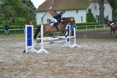 Foto des Albums: Kreis-, Kinder- und Jugendsportspiele   Kreismeisterschaften Reiten & Pony 2014