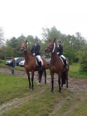 Foto des Albums: Kreis-, Kinder- und Jugendsportspiele   Kreismeisterschaften Reiten & Pony 2014