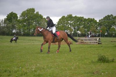 Foto des Albums: Kreis-, Kinder- und Jugendsportspiele   Kreismeisterschaften Reiten & Pony 2014