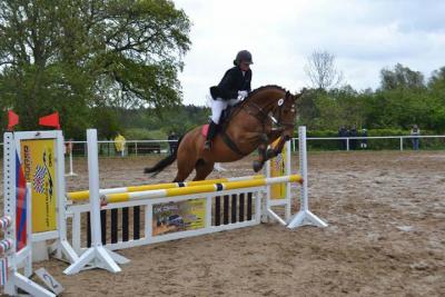 Foto des Albums: Kreis-, Kinder- und Jugendsportspiele   Kreismeisterschaften Reiten & Pony 2014