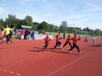 Foto des Albums: Torgelow, 17.05.2014
