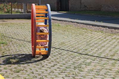 Foto des Albums: Kinderfest an der Feuerwehr  am 7. Juni 2014
