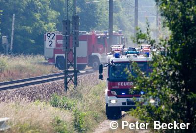 Foto des Albums: Einsatz Nr. 71/2014 - Bahndammbrand an der Strecke Cottbus - Berlin