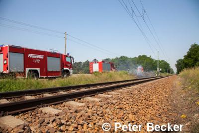 Foto des Albums: Einsatz Nr. 71/2014 - Bahndammbrand an der Strecke Cottbus - Berlin