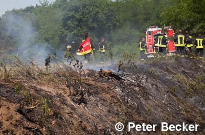 Foto des Albums: Einsatz Nr. 71/2014 - Bahndammbrand an der Strecke Cottbus - Berlin
