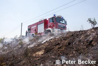 Foto des Albums: Einsatz Nr. 71/2014 - Bahndammbrand an der Strecke Cottbus - Berlin