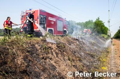 Foto des Albums: Einsatz Nr. 71/2014 - Bahndammbrand an der Strecke Cottbus - Berlin
