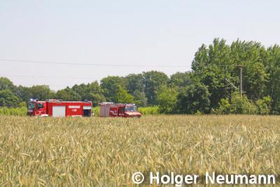 Foto des Albums: Einsatz Nr. 71/2014 - Bahndammbrand an der Strecke Cottbus - Berlin
