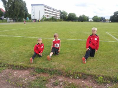 Foto des Albums: Schwedter Polderlauf 14.06.2014