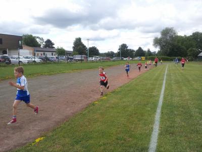 Foto des Albums: Schwedter Polderlauf 14.06.2014